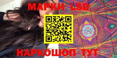 PSILOCYBIN Нальчик