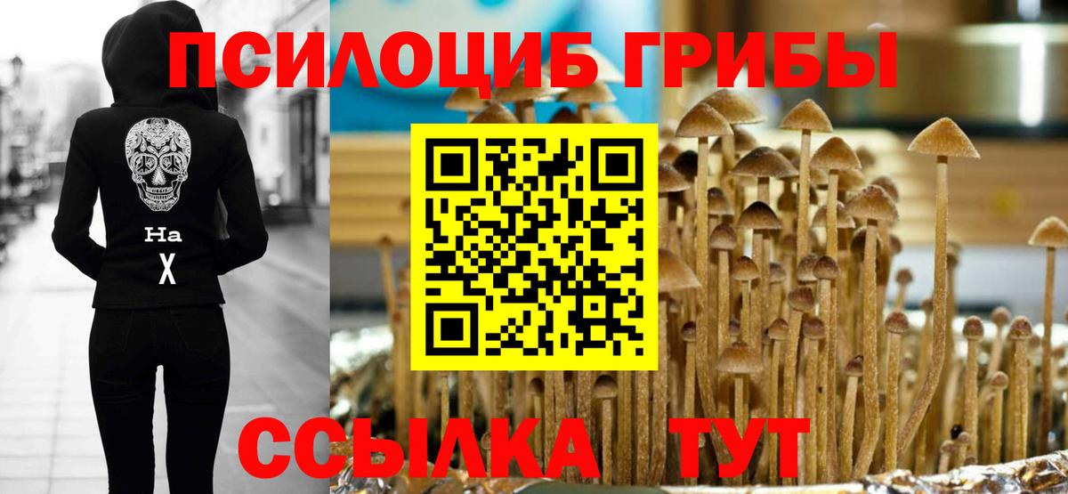 Псилоцибиновые грибы Magic Shrooms Соль-Илецк